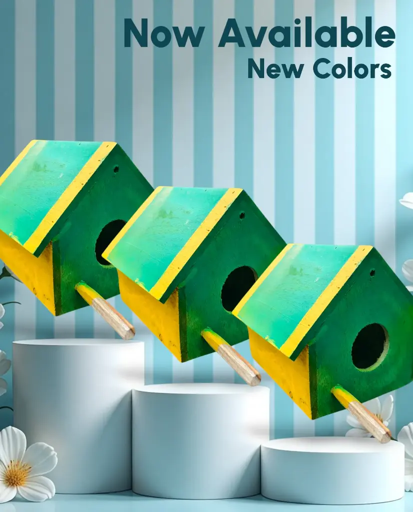 IMG_20250801_072100 (1).webp